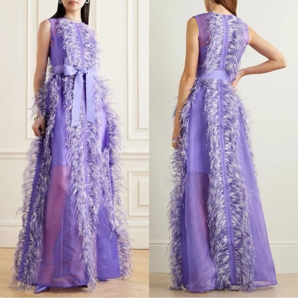Huishan Zhang Beau Ostrich Feather Embellished Silk Organza Gown Size 6 NWT - Picture 2 of 10